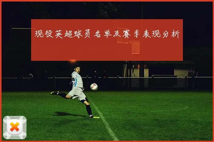 现役英超球员名单及赛季表现分析